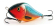 slider salmo parrot