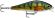 super shadow rap rapala