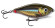 x rap haiku RAPALA