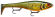 X RAP PETO RAPALA 