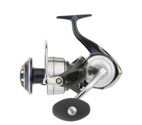 certate sw g 2021 daiwa