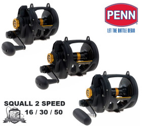 moulinet penn squall lever drag 2 speed igfa