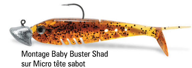 Leurre souple Delalande Baby Buster Shad 5cm non monté