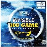 Invisible Big Game ASSO